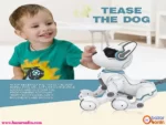 ربات سگ بدلکار کنترلی شارژی موزیکال A001